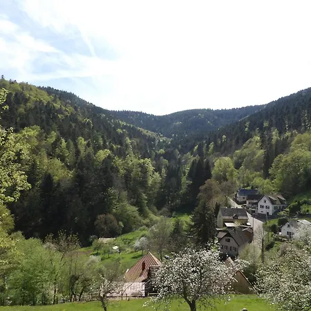 Au Calme A Vue Jardin, Parking & Wi-fi Gratuit Murbach