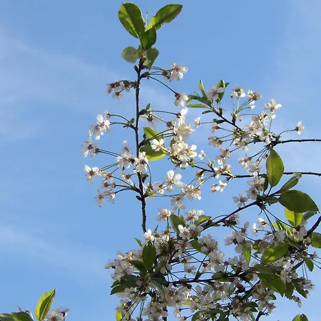 Apartman Au Calme A Vue Jardin, Parking & Wi-fi Gratuit *